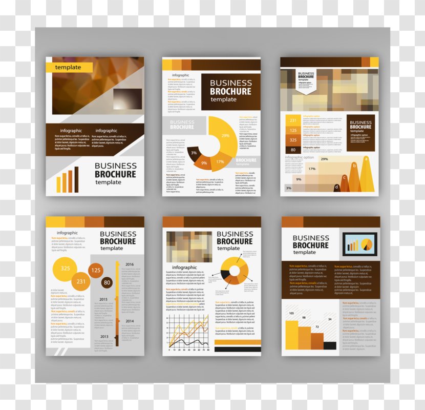 Infographic Brochure Image Business Presentation Transparent PNG