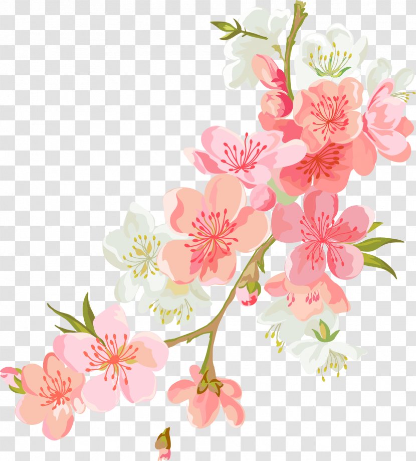 Flower Euclidean Vector Computer File - Arranging - Hand-painted Colorful Flowers Transparent PNG