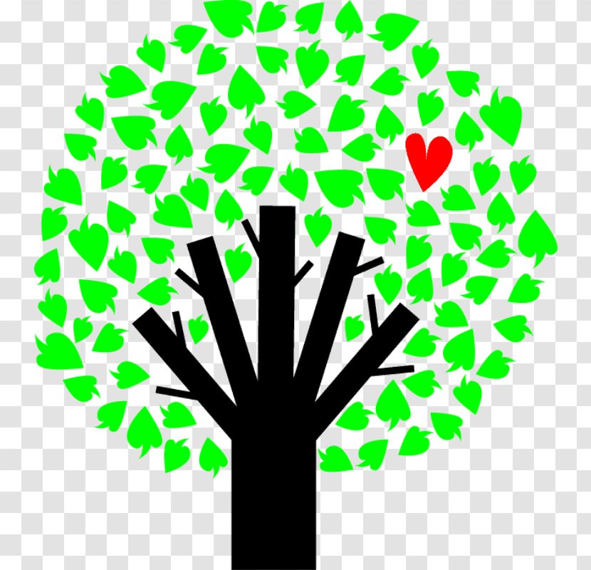 Season Tree - Drawing - Arbol Transparent PNG