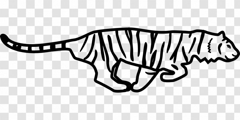White Tiger Black Clip Art - Wild Animal Transparent PNG