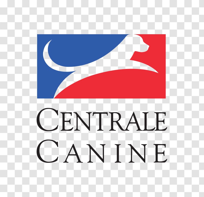 Pointer Belgian Shepherd Société Centrale Canine Malinois Dog Breeding - Kennel Club - Pets Material Plane Transparent PNG