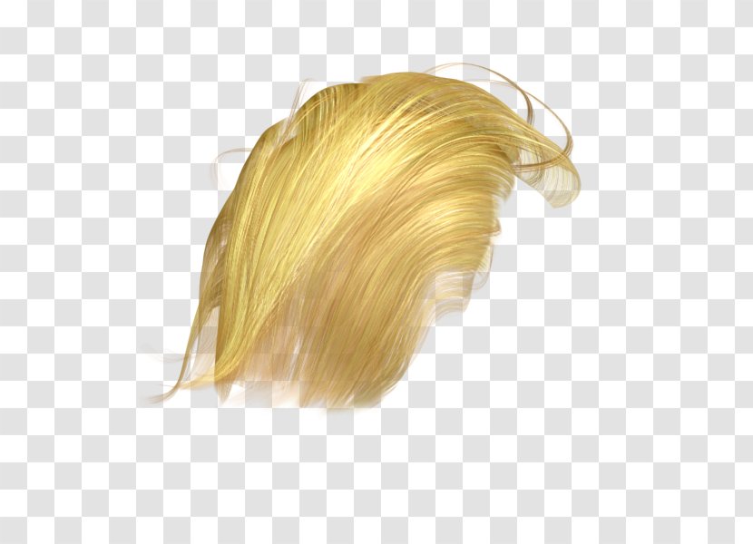 Wig Hair - Coloring Transparent PNG