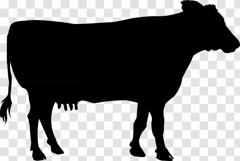 Dairy Cattle Calf Bull - Cow - Blackandwhite Transparent PNG