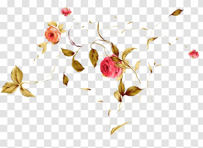 Watercolor Flower Background - Painting - Plant Stem Prickly Rose Transparent PNG
