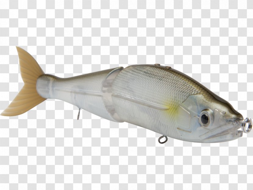 Plug Northern Pike Milkfish Fishing Baits & Lures Swimbait - Bait Transparent PNG