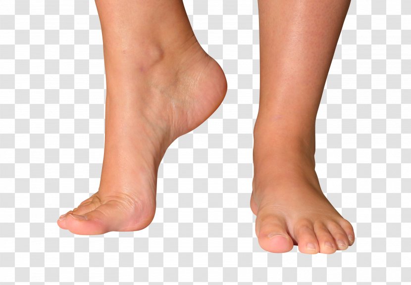 Shoe Ankle Foot Sole Calf - Silhouette - Hallux Rigidus Transparent PNG