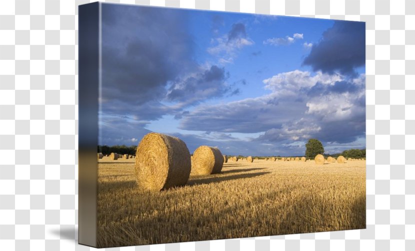 Hay Landscape Straw Farm Baler - Haystack Transparent PNG