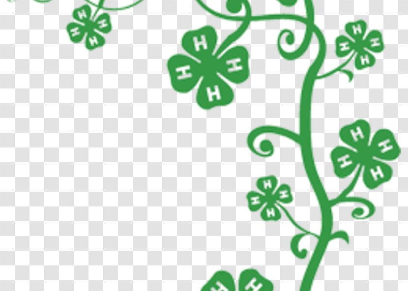 4-H Four-leaf Clover Cattle Clip Art - Branch Transparent PNG