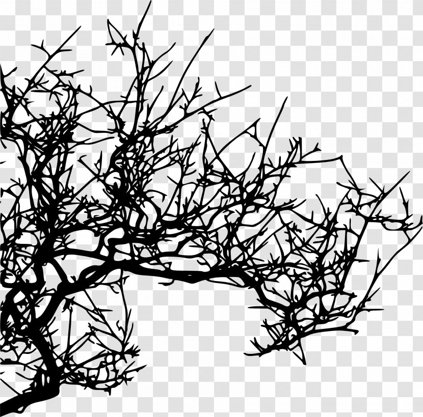 Branch Tree Silhouette Transparent PNG