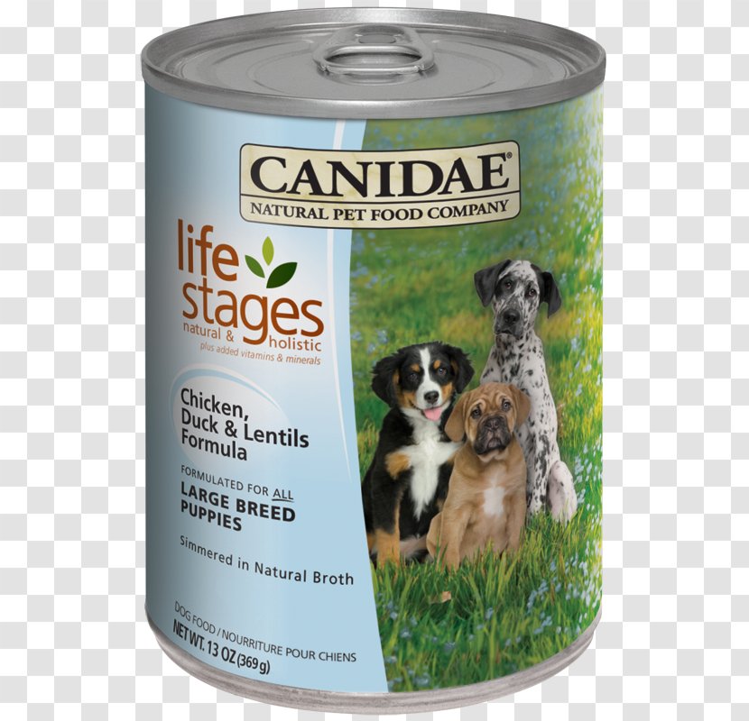 Puppy Dobermann Dog Food Canidae Duck Meat Transparent PNG