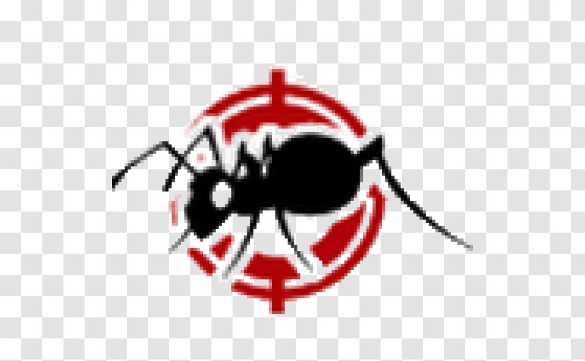 Premier Pest Management Inc. Southwest Florida Control Ladybird Beetle - Net - Responsible Transparent PNG