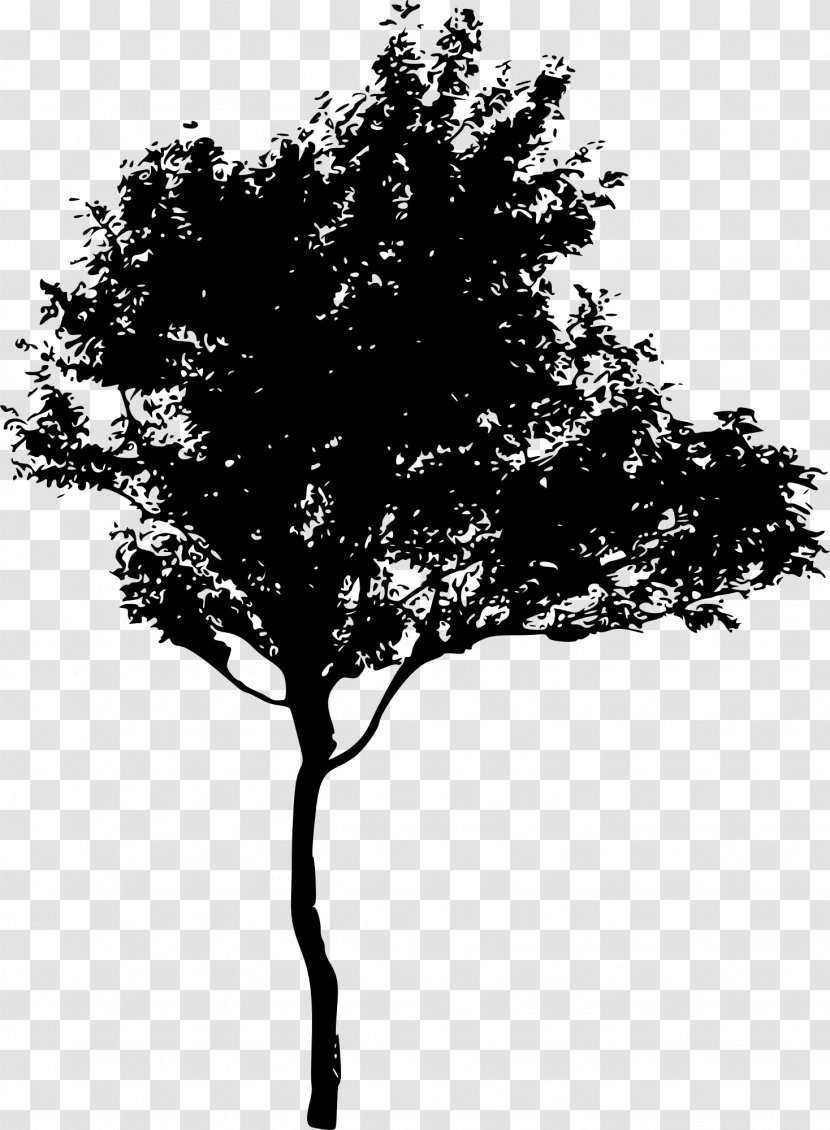 Tree Silhouette Drawing - Art Transparent PNG