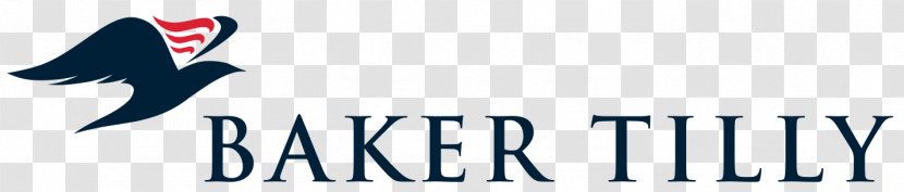 Logo Baker Tilly Virchow Krause, LLP International Monteiro Heng Governance Sdn Bhd Capital, LLC - Krause Llp - Street Forest Hills Drive Transparent PNG