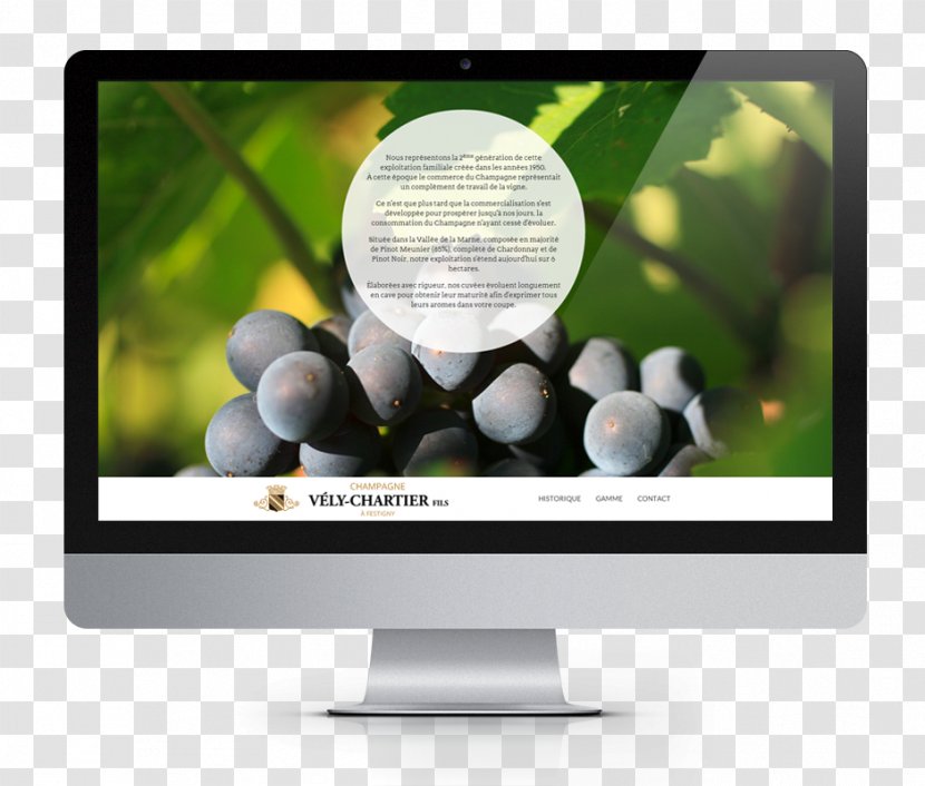 Web Development Design - Logo - Website Mock Up Transparent PNG