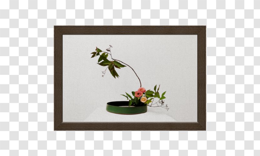 Floral Design Picture Frames Rectangle Flowering Plant - Frame Transparent PNG