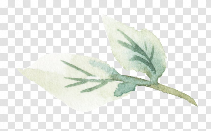 Leaf Plant Stem Plants - Ophelia Pennant Transparent PNG