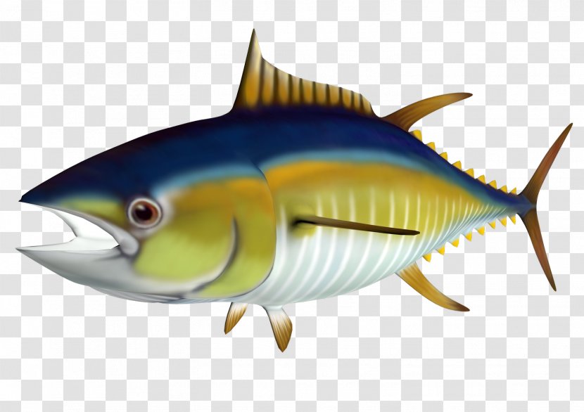 Atlantic Bluefin Tuna Yellowfin Clip Art - Cliparts Transparent PNG