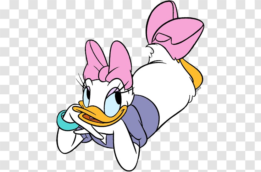 Daisy Duck Donald Baby Mickey Mouse - Ducks Geese And Swans - Relaxed Map Transparent PNG