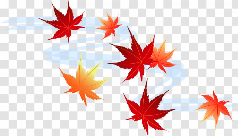 Autumn Leaf Color Season Gratis - Evenement - Maple Transparent PNG