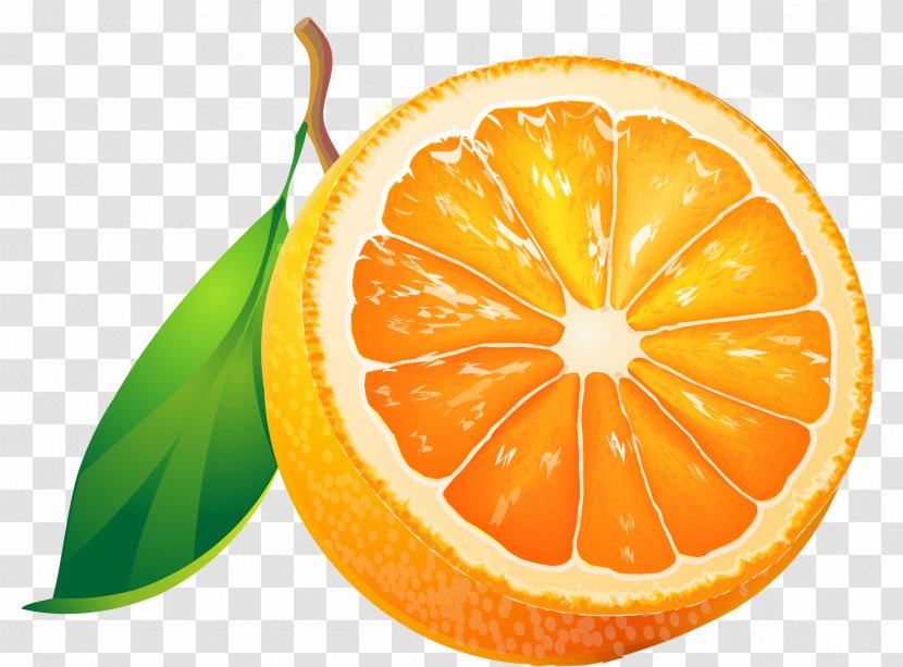 Fruit Orange Tangerine Clip Art - Clementine - Grapefruit Transparent PNG