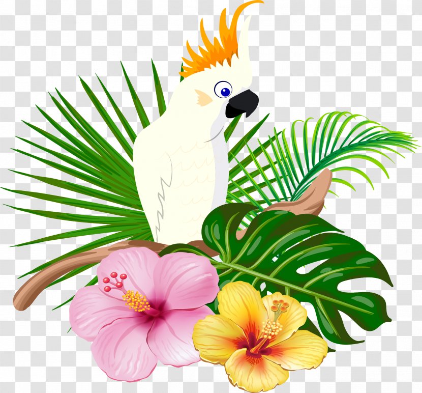 Parrot Bird Floral Design - Petal - White Transparent PNG