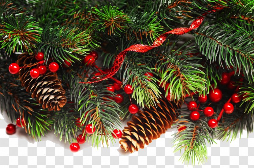 Fraser Fir Christmas Decoration Ornament Tree - Garland - Fir-tree Transparent PNG