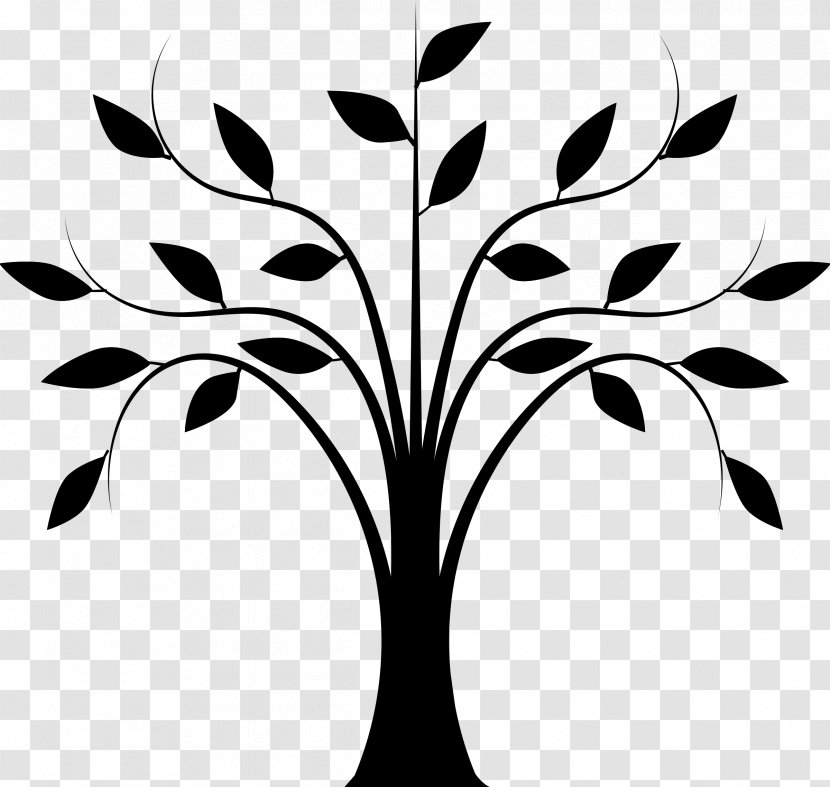 Clip Art Line Drawing Tree - Photography Transparent PNG