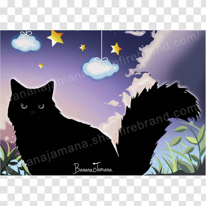 Black Cat Whiskers Poster BananaJamana Transparent PNG