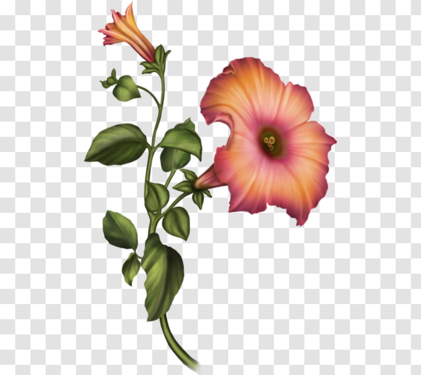 Floral Design Cut Flowers Hibiscus - Plant Stem - Flower Transparent PNG