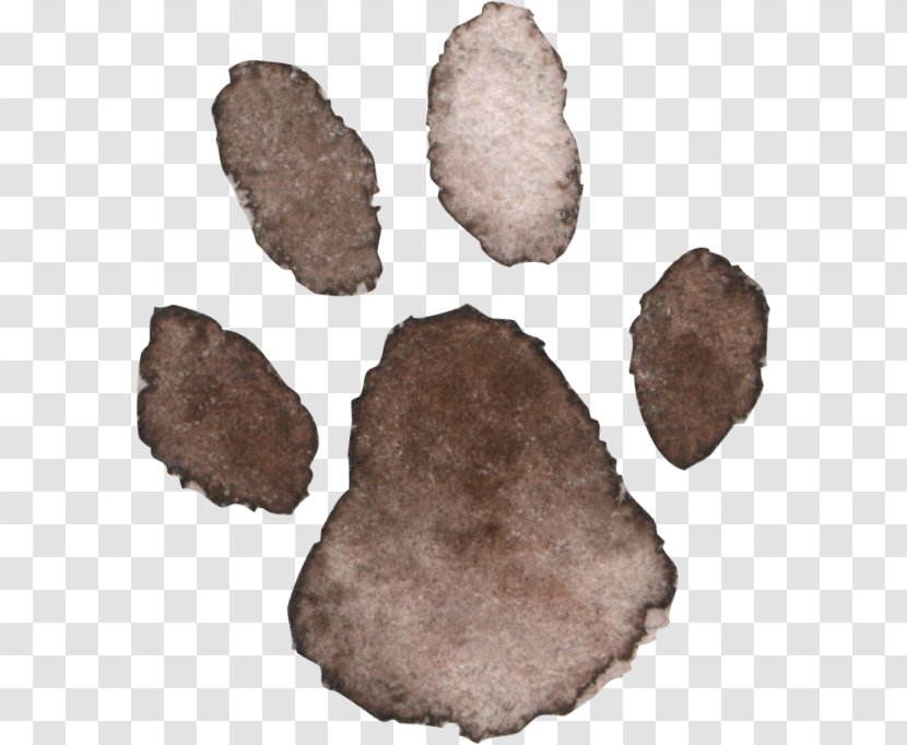 Fur - Stone Tool Transparent PNG