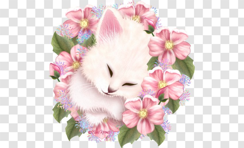 Animation Gfycat Desktop Wallpaper - Pink Transparent PNG