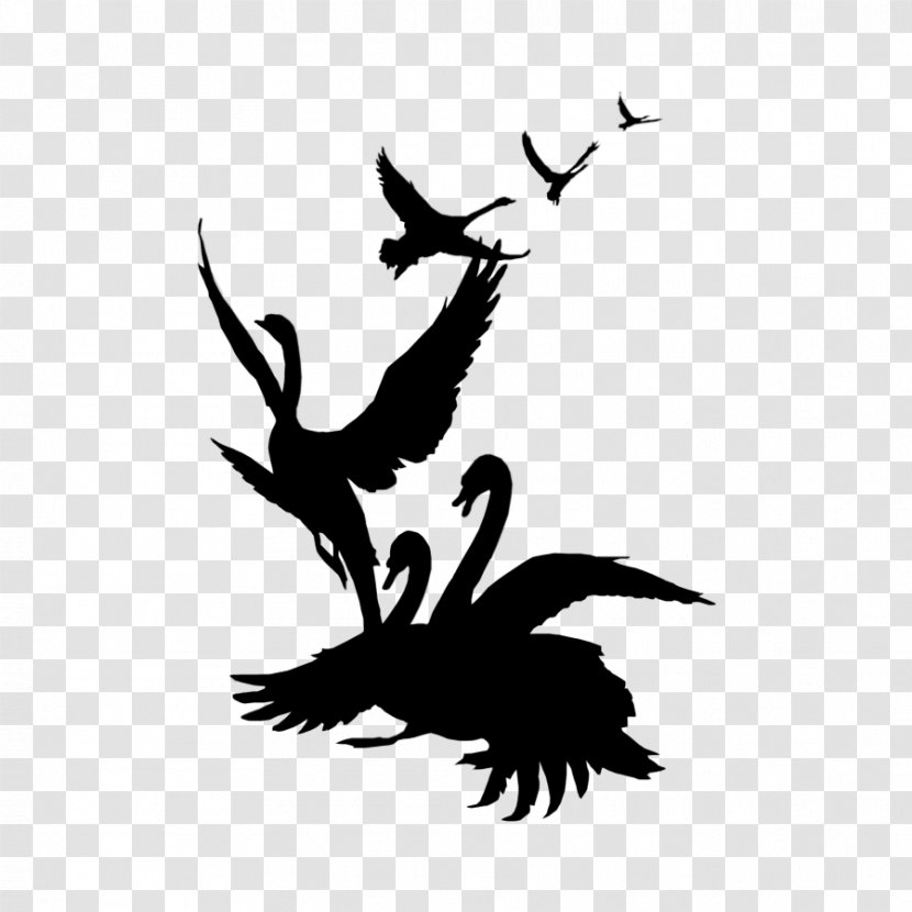 Black Swan YouTube Bird Clip Art - Songbird - Youtube Transparent PNG