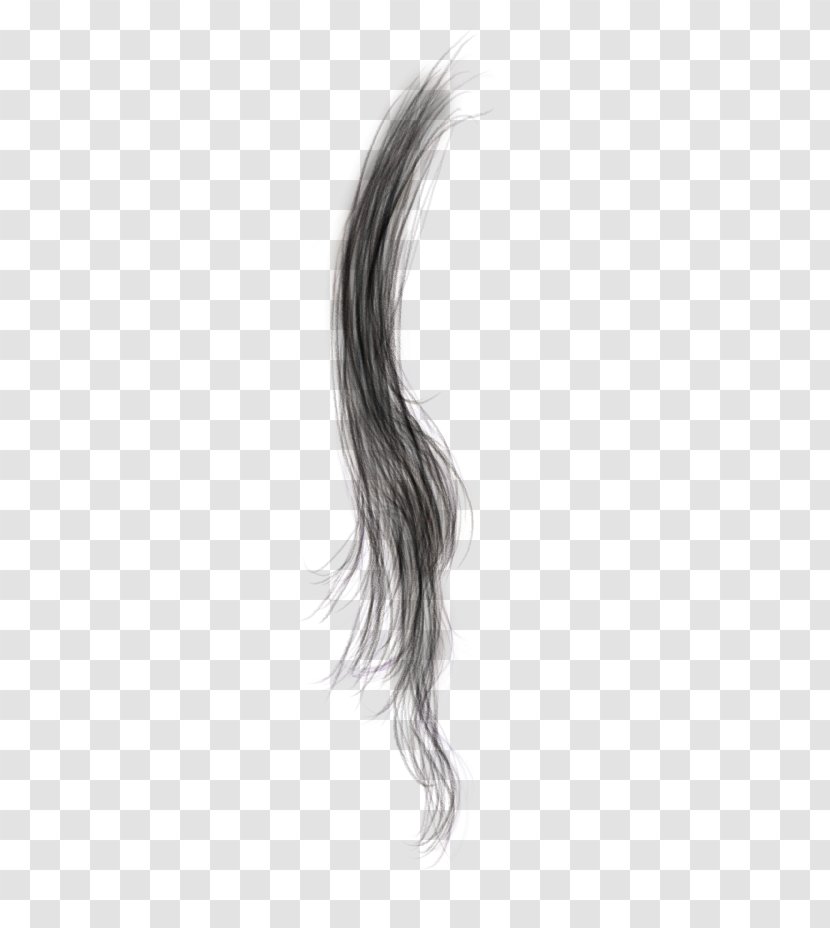 Black Hair Coloring Brown Long - Arm Transparent PNG