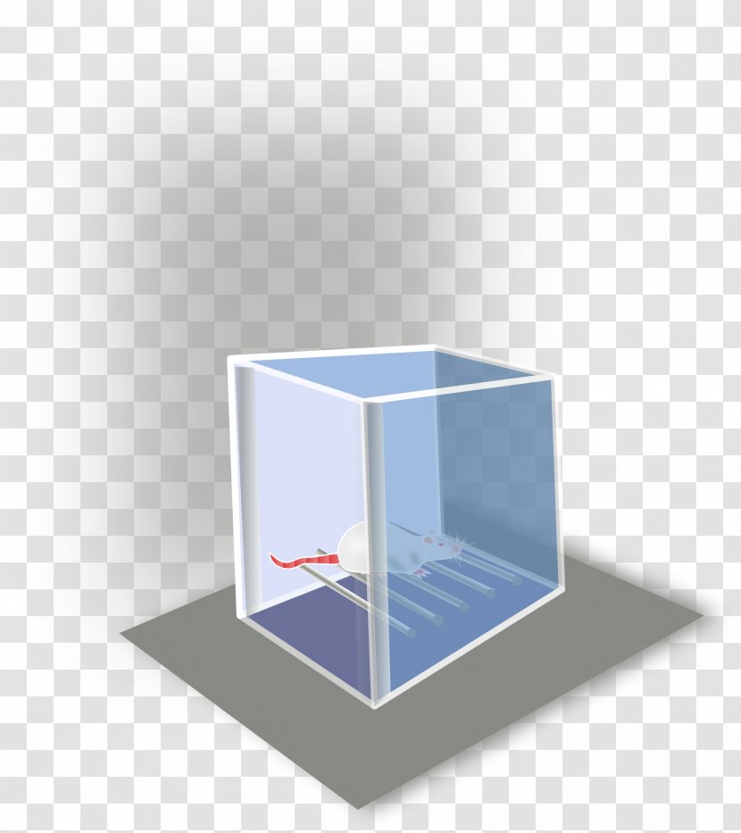 Clip Art - Gift - Box Transparent PNG