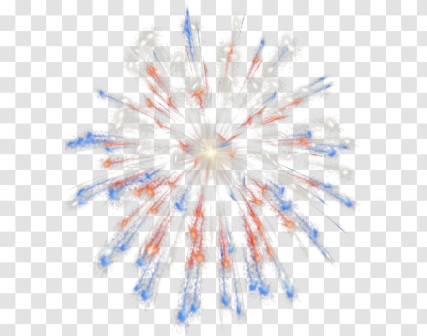 Fireworks Independence Day - Cartoon Transparent PNG