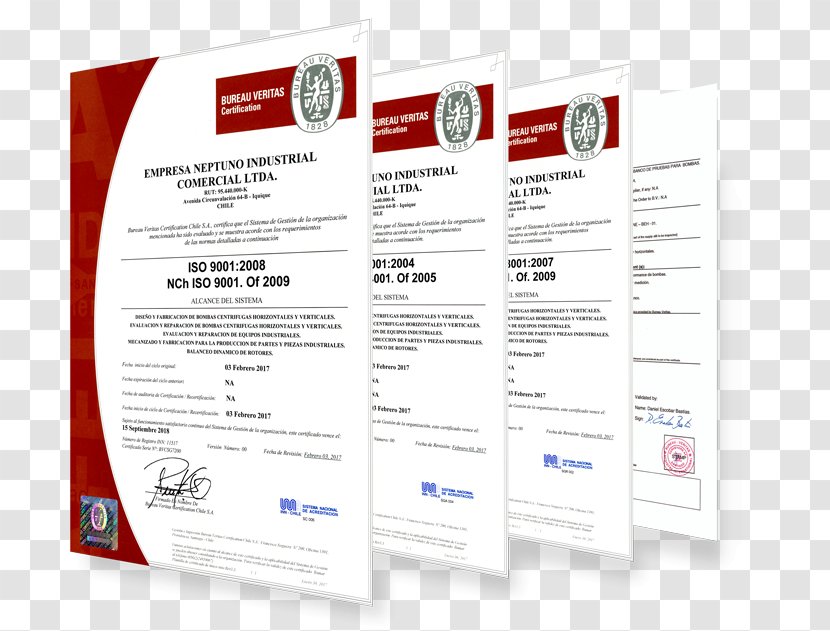 ISO 9000 Quality Service Advertising - Neptuno Transparent PNG