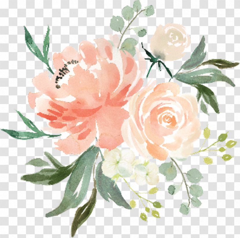 Watercolor: Flowers Watercolour Watercolor Painting Clip Art - Rose Transparent PNG