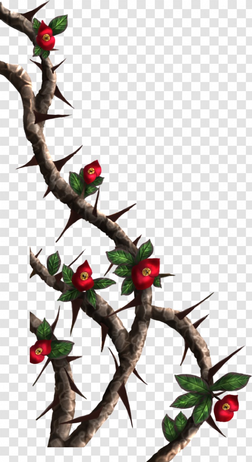 Thorns, Spines, And Prickles Rose Crown Of Thorns Drawing Clip Art - Headpiece - Thorn Transparent PNG