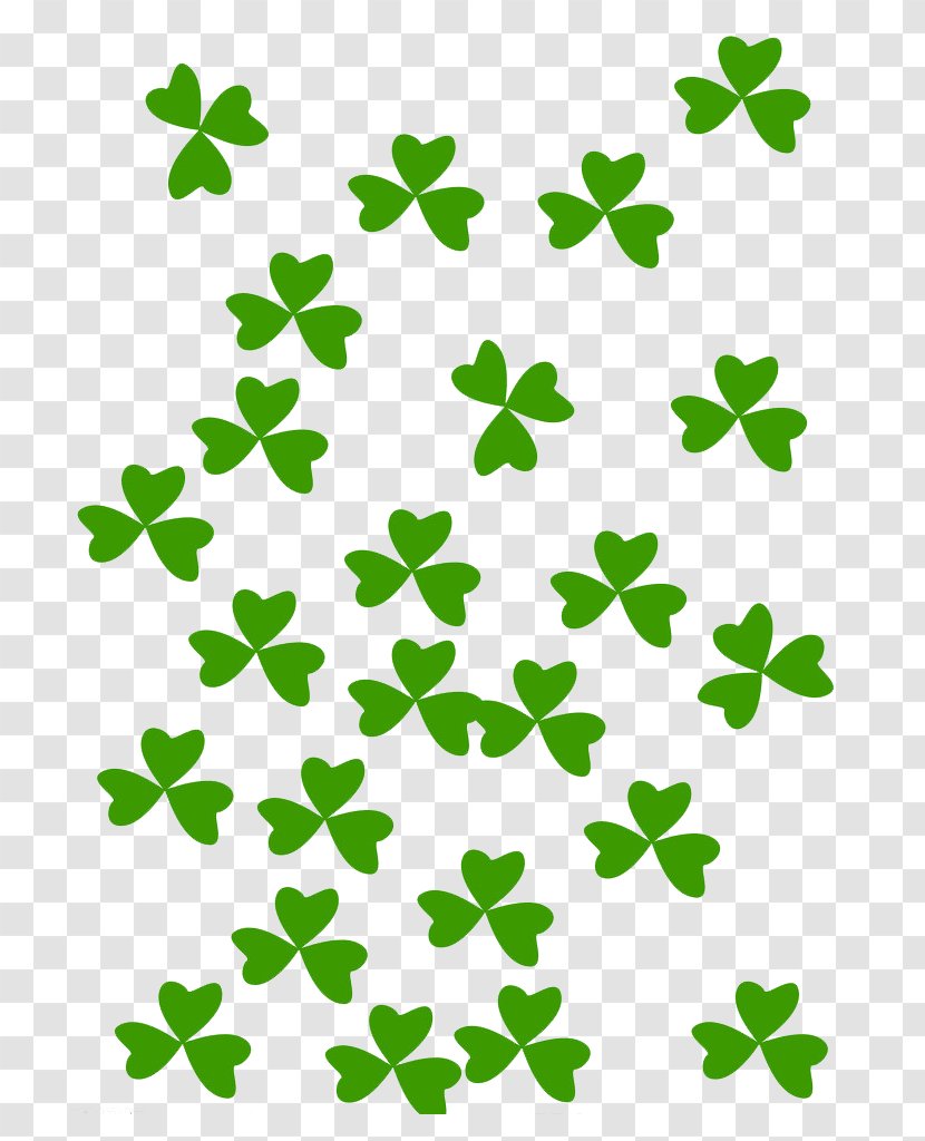 Four-leaf Clover - Ivy - Background Transparent PNG