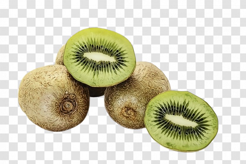 Kiwi Bird - Fruit - Flightless Plant Transparent PNG