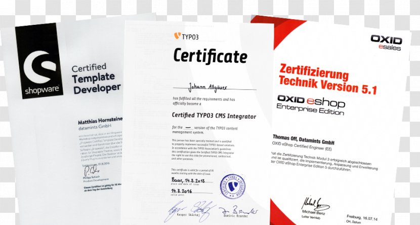 Datamints GmbH - Brand - TYPO3-Agentur Digital Marketing Agency Logo Web DesignQm Transparent PNG