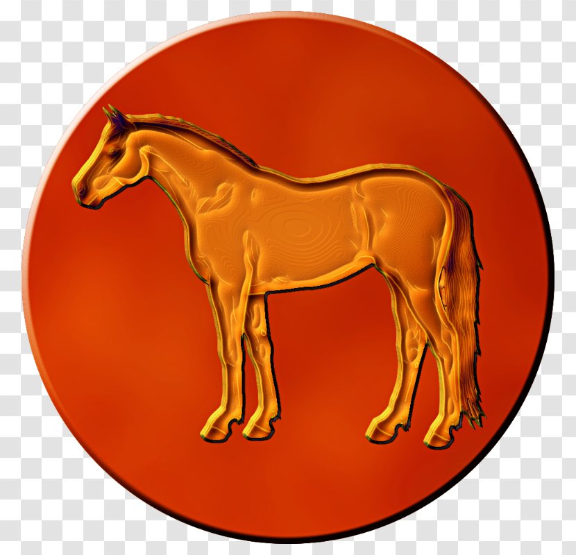 Mustang Donkey Stallion Pack Animal Halter - Heart Transparent PNG