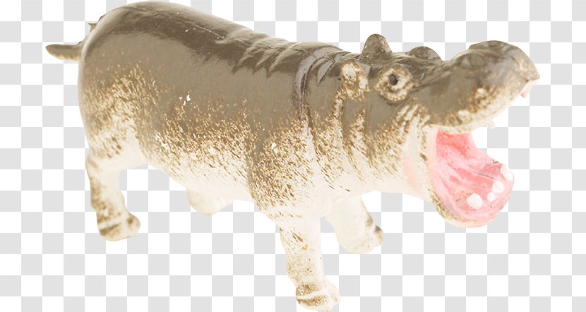 Hippopotamus Palette - Cat Transparent PNG