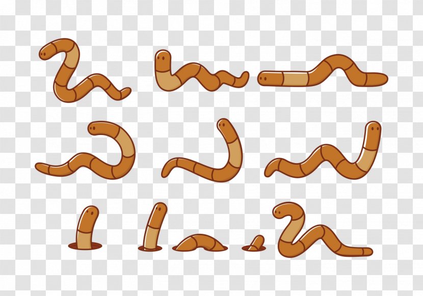 Cartoon Earthworm Animal - Earth Worm Transparent PNG