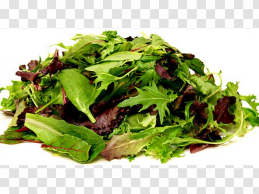 Mesclun Organic Food Poke Bean Salad Chicken - Leaf Vegetable Transparent PNG
