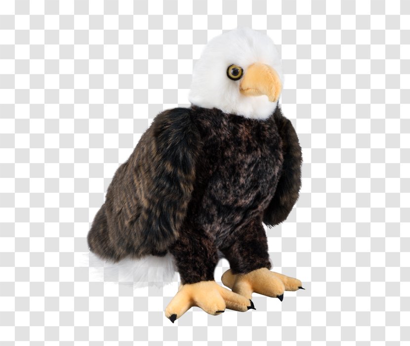 White House Bald Eagle Presidential State Car Seal Of The President United States Air Force One - Historical Association Transparent PNG