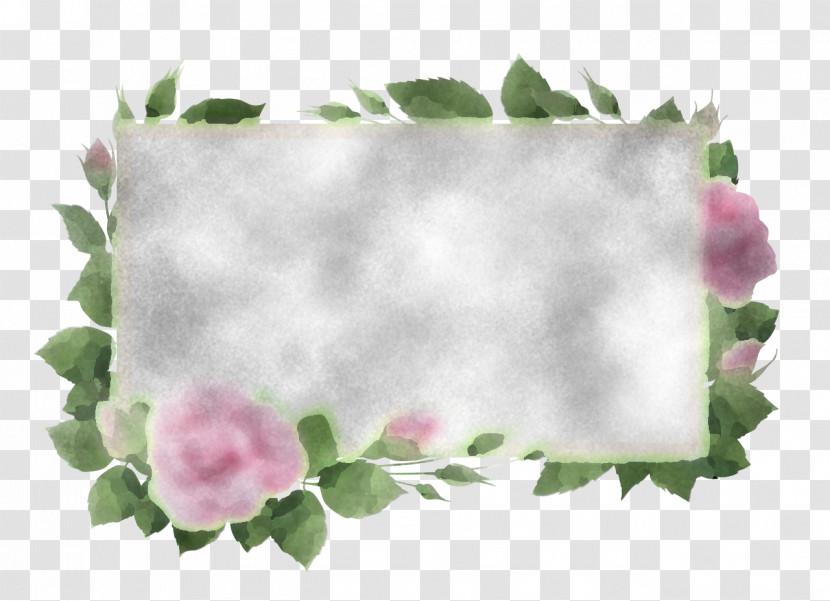 Floral Design Transparent PNG