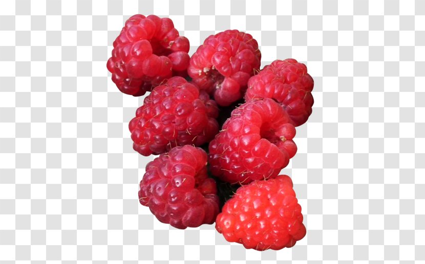 Raspberry Boysenberry Loganberry Tayberry - Cranberry Transparent PNG