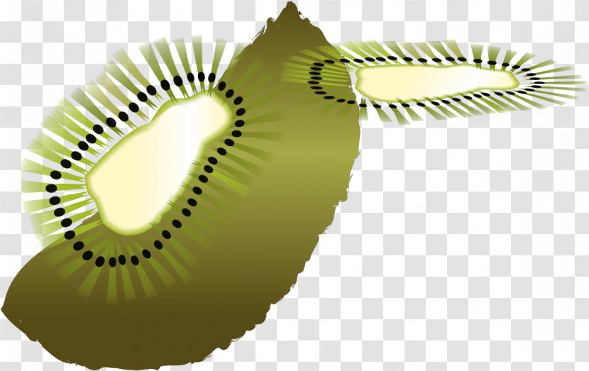 Clip Art Image - Royaltyfree - Kiwi Byrd Transparent PNG