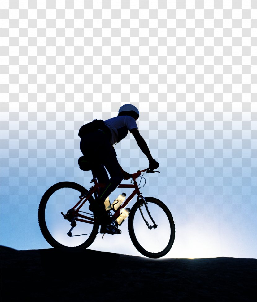 San Diego Mountain Bike Guide Bicycle Tire Cycling - Sports Equipment Transparent PNG